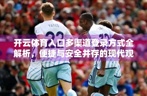 开云体育入口多渠道登录方式全解析，便捷与安全并存的现代观赛新体验