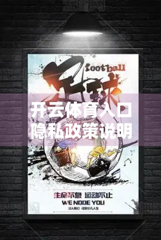 开云体育入口隐私政策说明，用户数据安全的透明承诺与责任担当