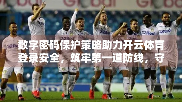 数字密码保护策略助力开云体育登录安全，筑牢第一道防线，守护你的运动梦想