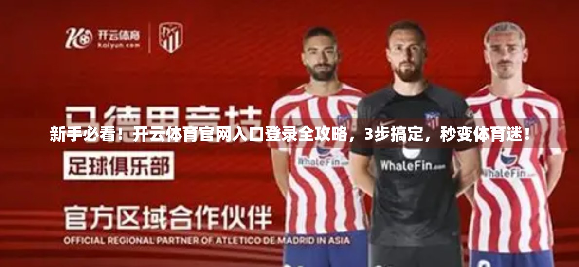 新手必看！开云体育官网入口登录全攻略，3步搞定，秒变体育迷！