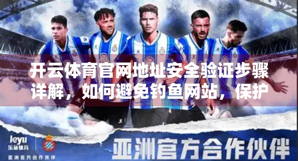 开云体育官网地址安全验证步骤详解，如何避免钓鱼网站，保护你的账号与财产安全