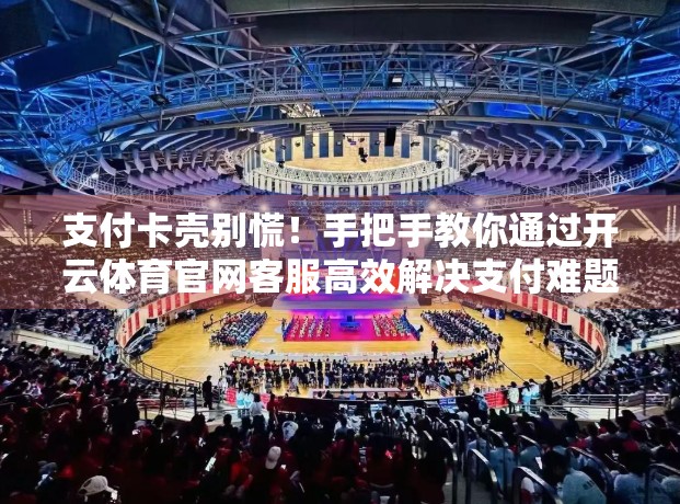 支付卡壳别慌！手把手教你通过开云体育官网客服高效解决支付难题