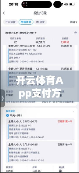 开云体育App支付方式全解析，便捷与安全之间如何平衡？