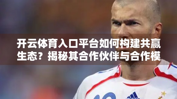开云体育入口平台如何构建共赢生态？揭秘其合作伙伴与合作模式背后的逻辑