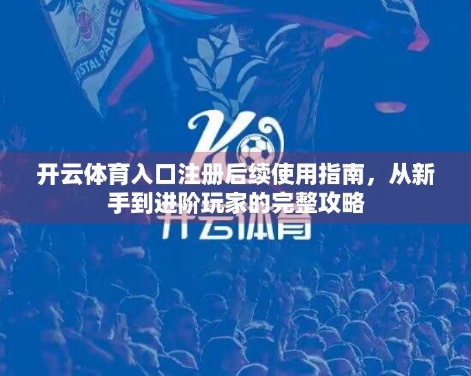 开云体育入口注册后续使用指南，从新手到进阶玩家的完整攻略