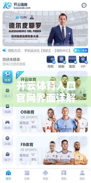 开云体育入口官网界面详解，新手友好导航指南，助你轻松畅玩体育世界！