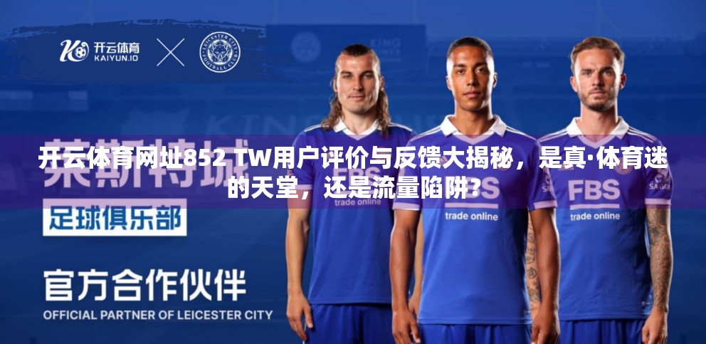 开云体育网址852 TW用户评价与反馈大揭秘，是真·体育迷的天堂，还是流量陷阱？