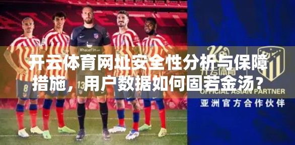 开云体育网址安全性分析与保障措施，用户数据如何固若金汤？