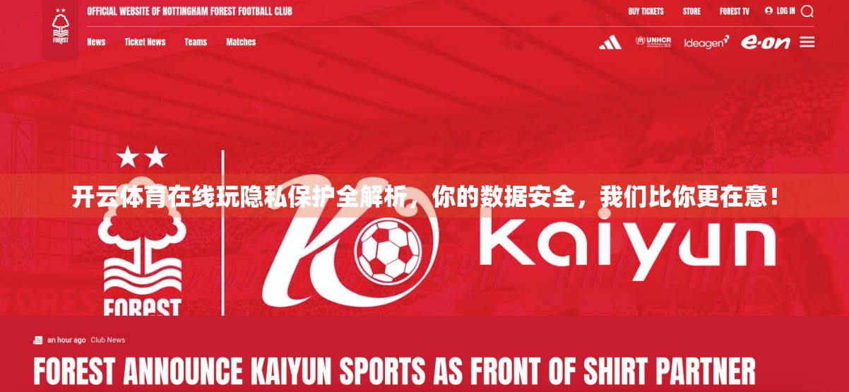 开云体育在线玩隐私保护全解析，你的数据安全，我们比你更在意！