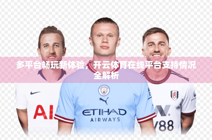 多平台畅玩新体验，开云体育在线平台支持情况全解析