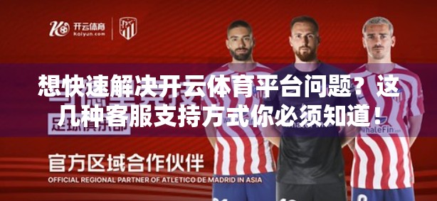 想快速解决开云体育平台问题？这几种客服支持方式你必须知道！