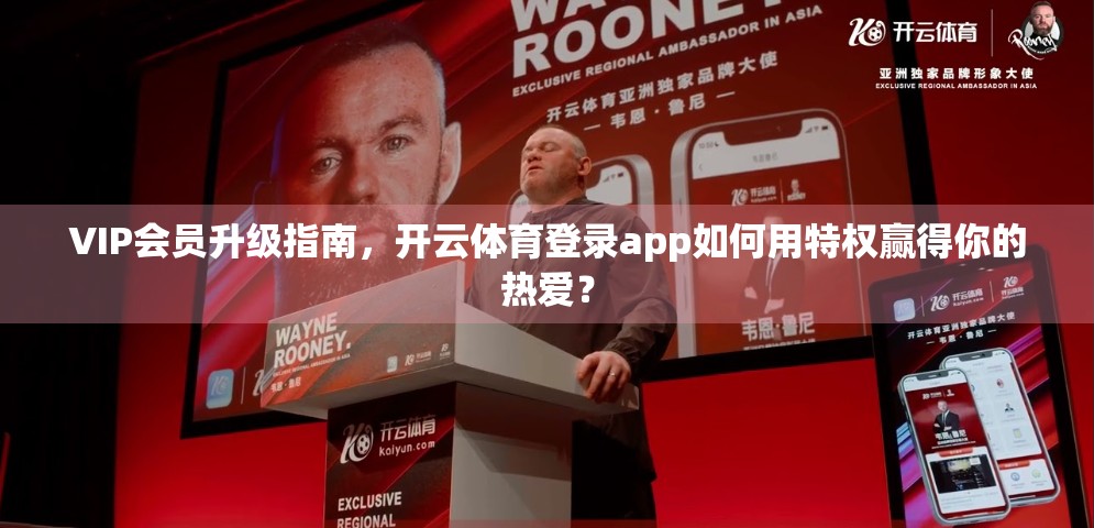 VIP会员升级指南，开云体育登录app如何用特权赢得你的热爱？